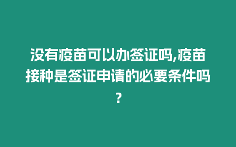 沒有疫苗可以辦簽證嗎,疫苗接種是簽證申請的必要條件嗎？