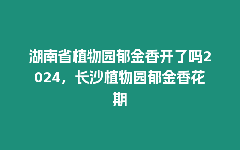 湖南省植物園郁金香開了嗎2024，長沙植物園郁金香花期