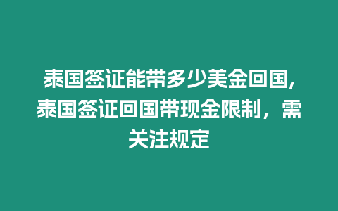 泰國簽證能帶多少美金回國,泰國簽證回國帶現金限制，需關注規定