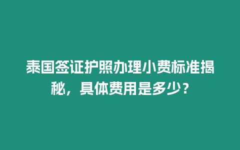 泰國簽證護照辦理小費標準揭秘，具體費用是多少？