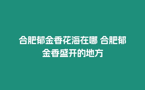 合肥郁金香花海在哪 合肥郁金香盛開的地方