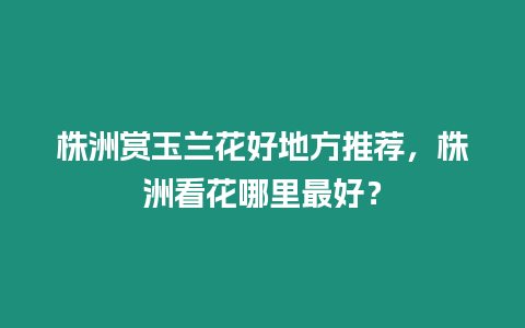 株洲賞玉蘭花好地方推薦，株洲看花哪里最好？