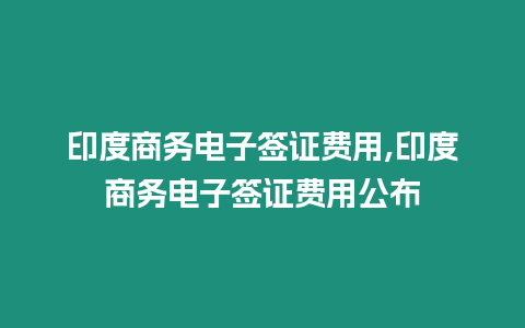 印度商務電子簽證費用,印度商務電子簽證費用公布