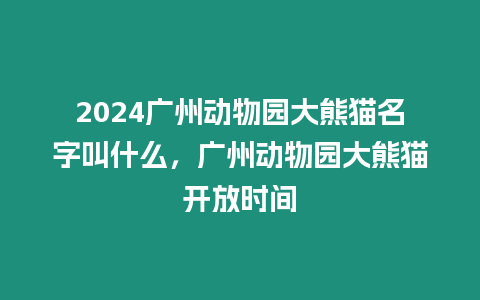 2024廣州動物園大熊貓名字叫什么，廣州動物園大熊貓開放時間