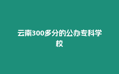 云南300多分的公辦專科學校