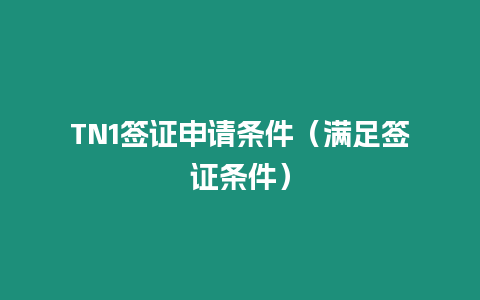 TN1簽證申請條件（滿足簽證條件）