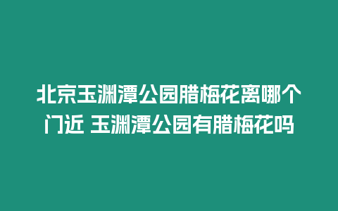 北京玉淵潭公園臘梅花離哪個門近 玉淵潭公園有臘梅花嗎