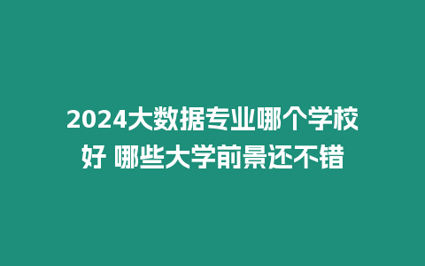 2024大數據專業哪個學校好 哪些大學前景還不錯