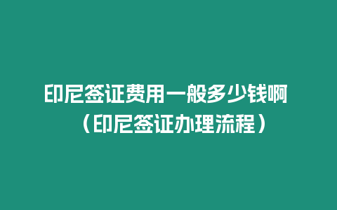 印尼簽證費用一般多少錢啊 （印尼簽證辦理流程）