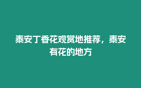 泰安丁香花觀賞地推薦，泰安有花的地方