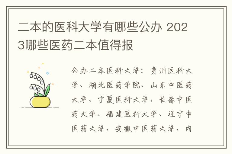 二本的醫科大學有哪些公辦 2024哪些醫藥二本值得報