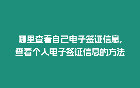 哪里查看自己電子簽證信息,查看個人電子簽證信息的方法