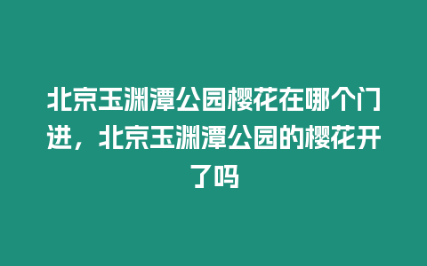 北京玉淵潭公園櫻花在哪個門進，北京玉淵潭公園的櫻花開了嗎