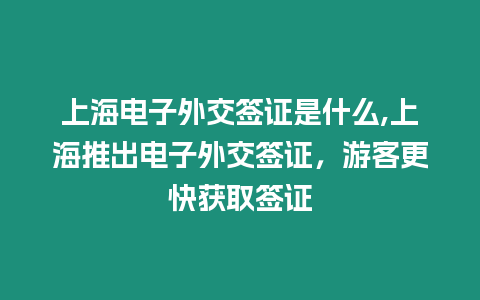 上海電子外交簽證是什么,上海推出電子外交簽證，游客更快獲取簽證