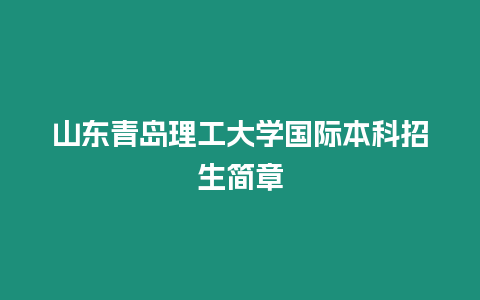 山東青島理工大學國際本科招生簡章