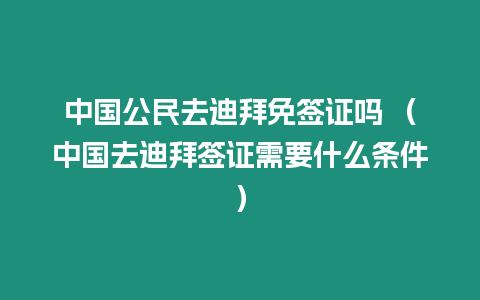 中國公民去迪拜免簽證嗎 （中國去迪拜簽證需要什么條件）