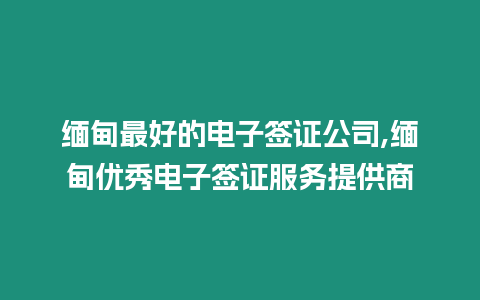 緬甸最好的電子簽證公司,緬甸優秀電子簽證服務提供商