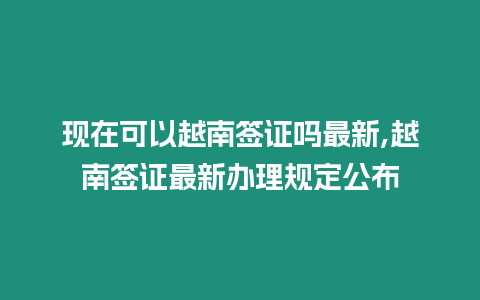 現在可以越南簽證嗎最新,越南簽證最新辦理規定公布