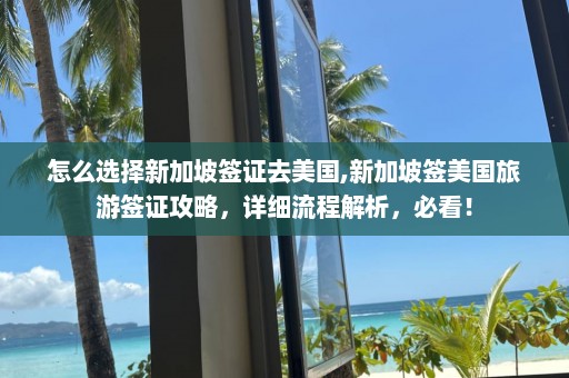 怎么選擇新加坡簽證去美國,新加坡簽美國旅游簽證攻略，詳細流程解析，必看！