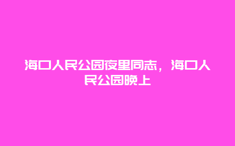 海口人民公園夜里同志，海口人民公園晚上