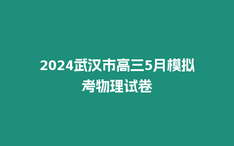 2024武漢市高三5月模擬考物理試卷