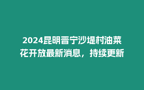 2024昆明晉寧沙堤村油菜花開放最新消息，持續更新