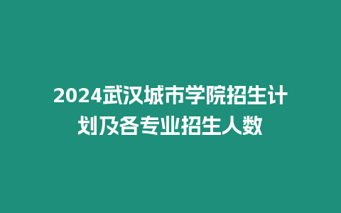 2024武漢城市學院招生計劃及各專業招生人數