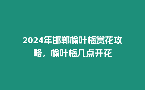 2024年邯鄲榆葉梅賞花攻略，榆葉梅幾點開花