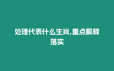 處理代表什么生肖,重點解釋落實