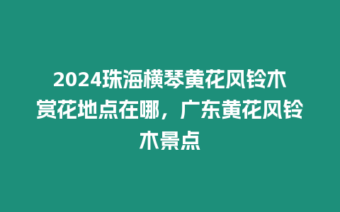 2024珠海橫琴黃花風鈴木賞花地點在哪，廣東黃花風鈴木景點