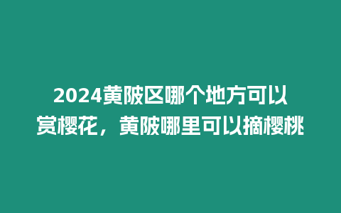 2024黃陂區(qū)哪個(gè)地方可以賞櫻花，黃陂哪里可以摘櫻桃