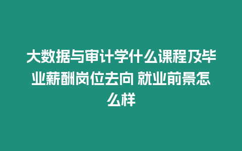 大數(shù)據(jù)與審計(jì)學(xué)什么課程及畢業(yè)薪酬崗位去向 就業(yè)前景怎么樣