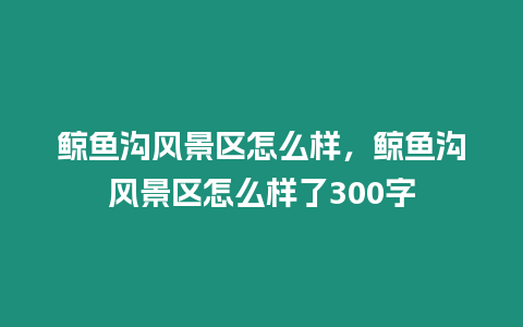 鯨魚溝風景區怎么樣，鯨魚溝風景區怎么樣了300字