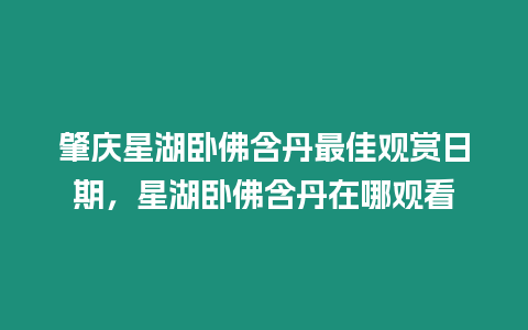 肇慶星湖臥佛含丹最佳觀賞日期，星湖臥佛含丹在哪觀看