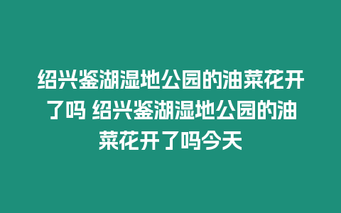 紹興鑒湖濕地公園的油菜花開了嗎 紹興鑒湖濕地公園的油菜花開了嗎今天