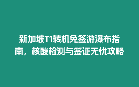 新加坡T1轉機免簽游瀑布指南，核酸檢測與簽證無憂攻略