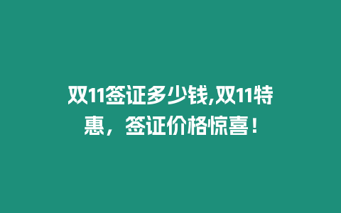 雙11簽證多少錢,雙11特惠，簽證價格驚喜！