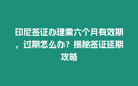 印尼簽證辦理需六個月有效期，過期怎么辦？揭秘簽證延期攻略