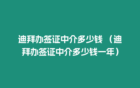 迪拜辦簽證中介多少錢 （迪拜辦簽證中介多少錢一年）