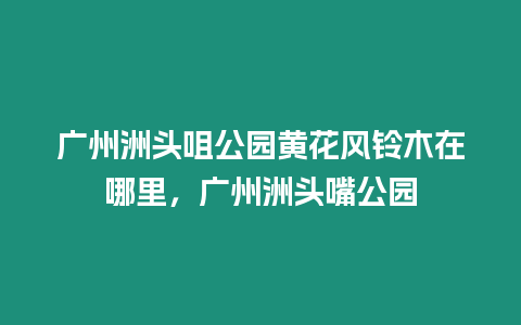 廣州洲頭咀公園黃花風鈴木在哪里，廣州洲頭嘴公園