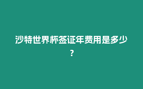 沙特世界杯簽證年費用是多少？