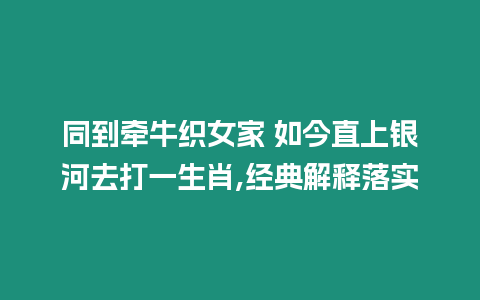 同到牽?？椗?如今直上銀河去打一生肖,經典解釋落實