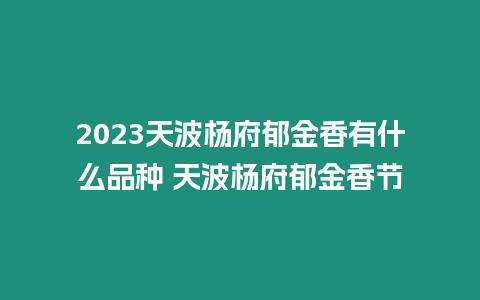 2023天波楊府郁金香有什么品種 天波楊府郁金香節(jié)