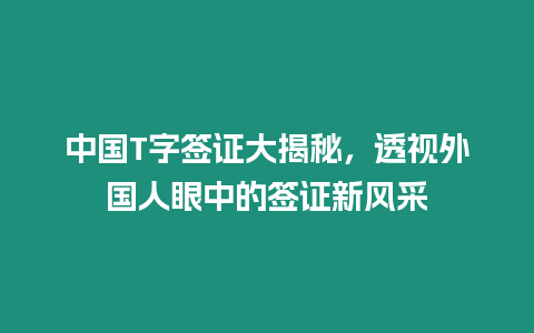 中國T字簽證大揭秘，透視外國人眼中的簽證新風(fēng)采