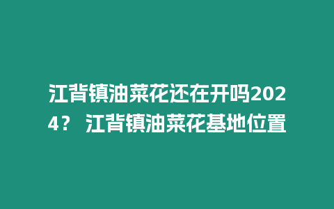 江背鎮油菜花還在開嗎2024？ 江背鎮油菜花基地位置