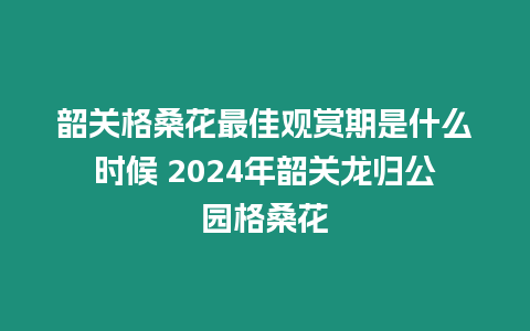 韶關格桑花最佳觀賞期是什么時候 2024年韶關龍歸公園格?；? title=