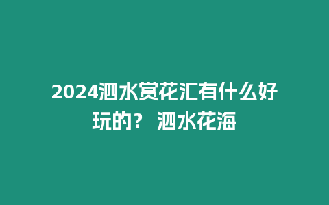 2024泗水賞花匯有什么好玩的？ 泗水花海