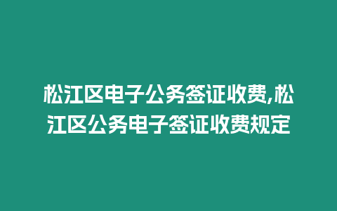 松江區(qū)電子公務(wù)簽證收費(fèi),松江區(qū)公務(wù)電子簽證收費(fèi)規(guī)定