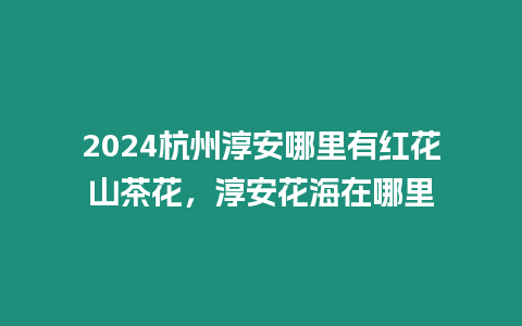 2024杭州淳安哪里有紅花山茶花，淳安花海在哪里