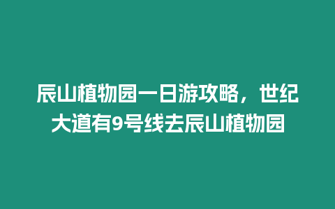 辰山植物園一日游攻略，世紀大道有9號線去辰山植物園